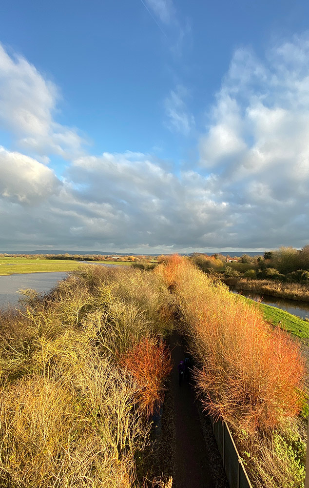 from Estuary Tower Hide